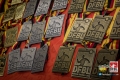 Faustball Deutsche Meisterschaft Hamm 2015/16