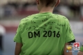 Faustball Deustche Meisterschaft Hamm 2015/16
