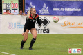 DFBL/denDulk