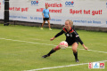 DFBL/denDulk