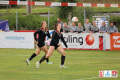 DFBL/denDulk