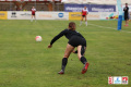 DFBL/denDulk