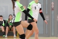 Deutsche Meisterschaft Frauen, Halle 2018