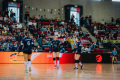 Faustball, Deutsche Meisterschaft, Final 4, Saison 2025/2026, 01.03.2026,

Foto: Lars Neumann