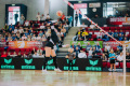 Faustball, Deutsche Meisterschaft, Final 4, Saison 2025/2026, 01.03.2026,

Foto: Lars Neumann
