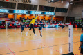 Faustball, Deutsche Meisterschaft, Final 4, Saison 2025/2026, 01.03.2026,

Foto: Lars Neumann