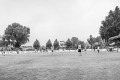 10_M_SP3_Brettorf-Berlin-0037-2-Pano