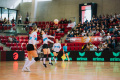 Faustball, Deutsche Meisterschaft, Final 4, Saison 2025/2026, 28.02.2026,

Foto: Lars Neumann