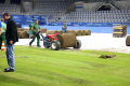 2023.07.27-WM-Mannheim-SAP-Rasen_U.Spille-4-von-12